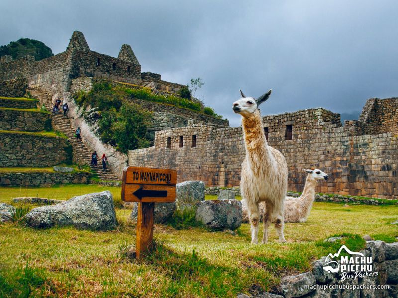 Tour Super Valle Sagrado + Machu Picchu